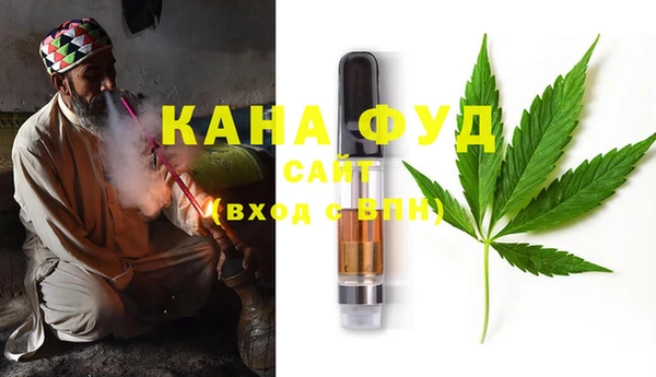 стаф Алзамай