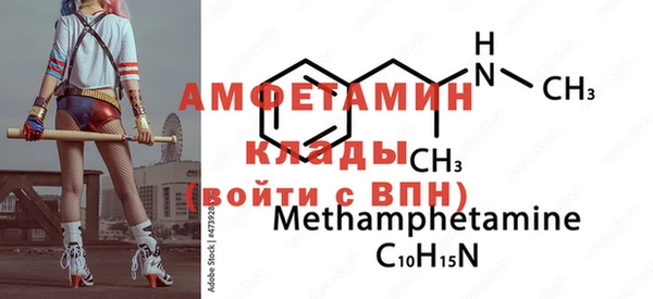 стаф Алзамай