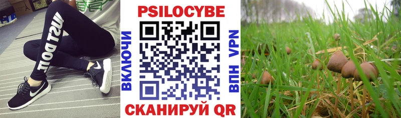 kraken зеркало  Чусовой  Галлюциногенные грибы прущие грибы 